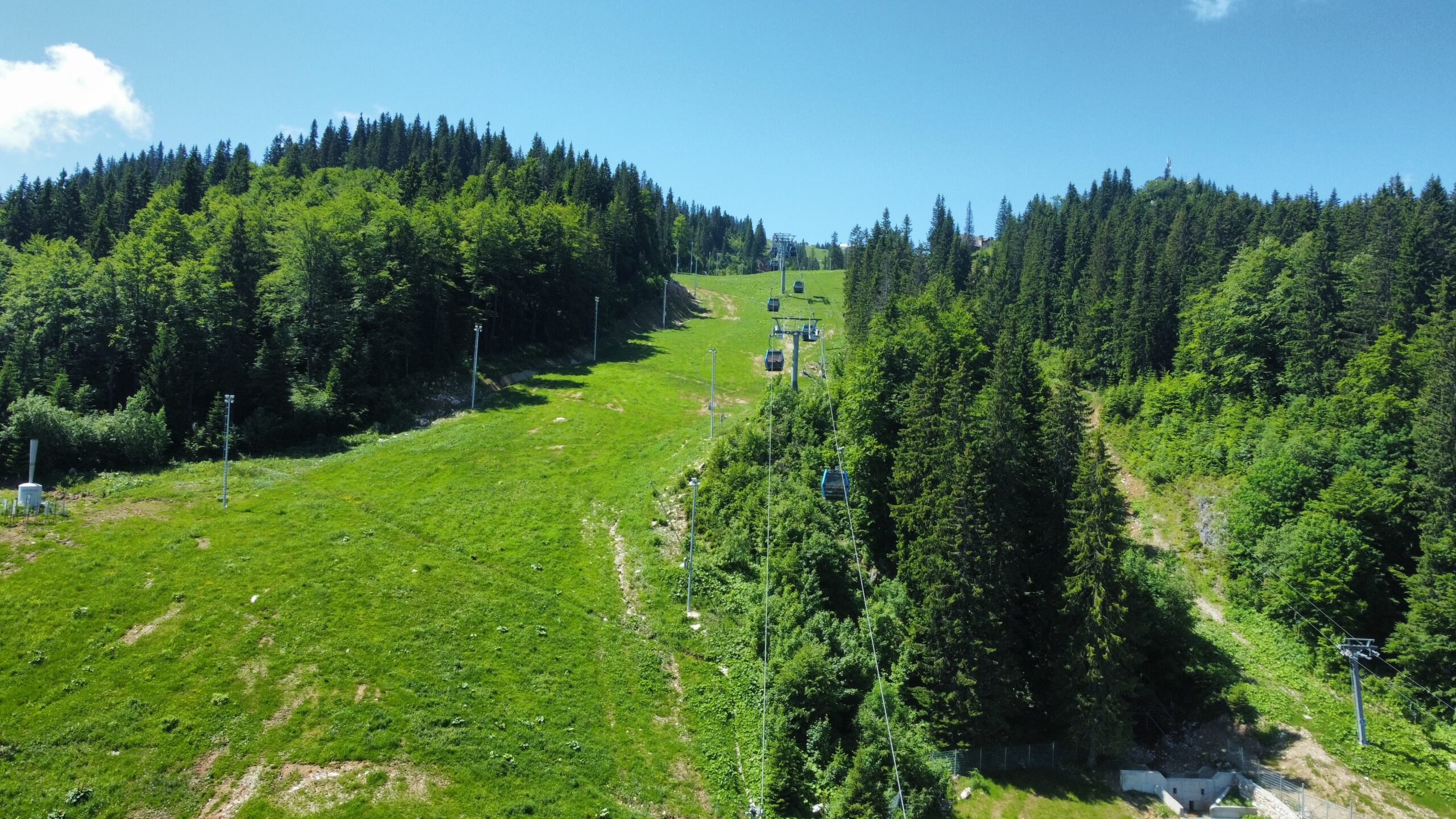dji_fly_20230629_105706_457_1688034841653_photo_optimized